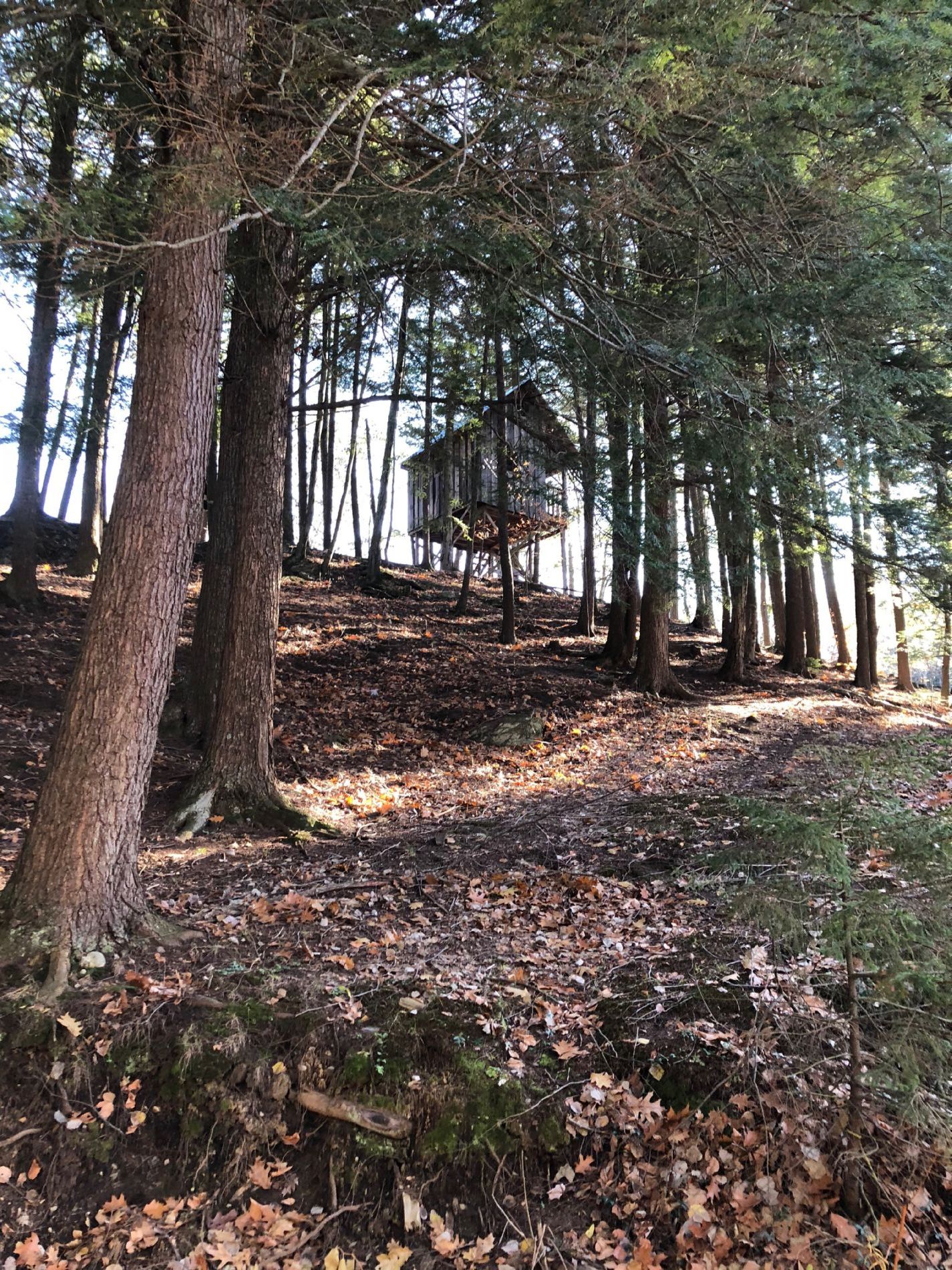 2 Story Treehouse with deck